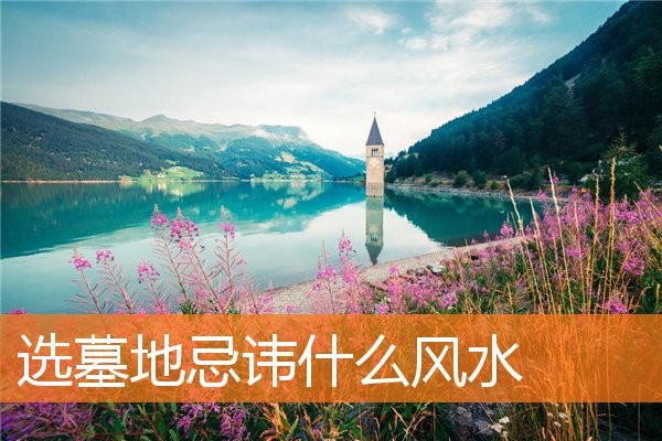 选墓地忌讳什么风水