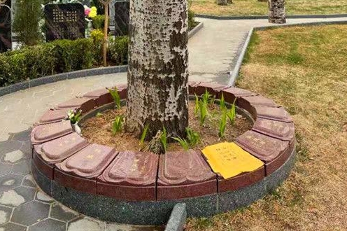 天寿陵园的生态葬服务有什么特点？