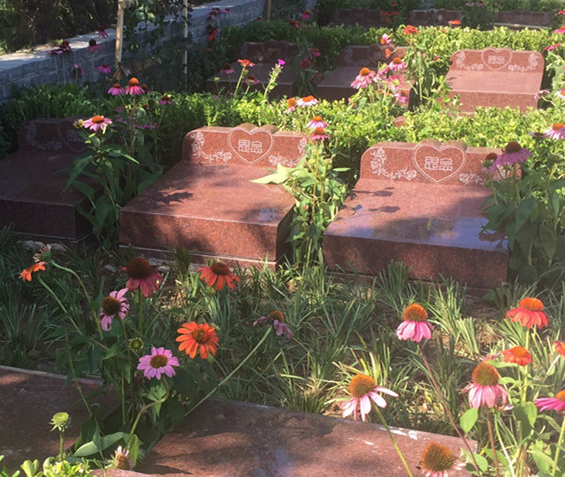 天寿陵园的墓地价格是多少？