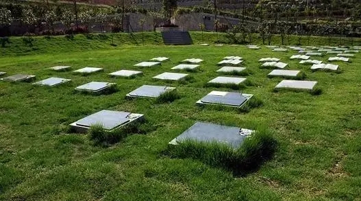 北京长青园自然葬怎么样