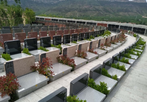 骨灰盒寄存不入土好吗