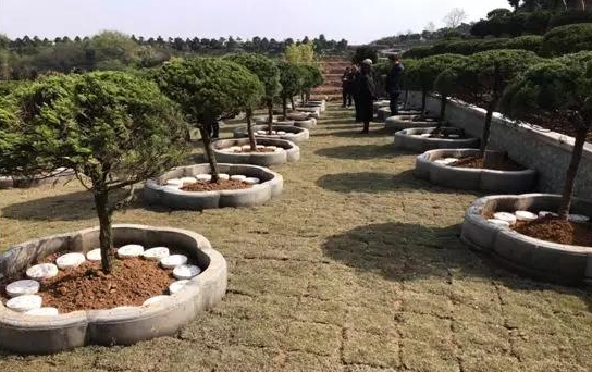 树葬北京哪家最好