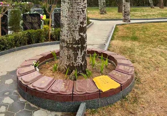 天寿陵园树葬价格多少钱