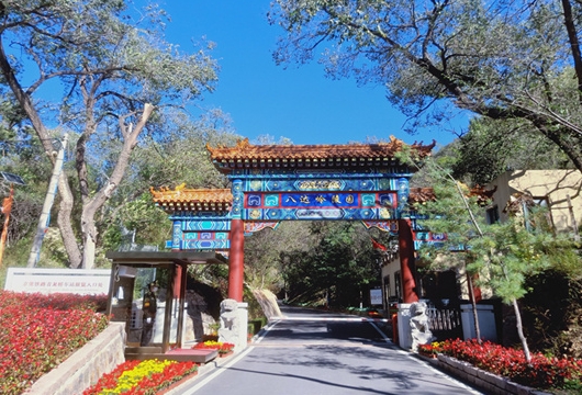 八达岭陵园2024年清明祭扫通知