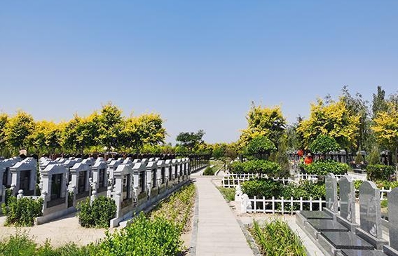 天津王庆坨公墓价格多少钱