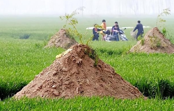 亲人不下葬对后人有影响吗？