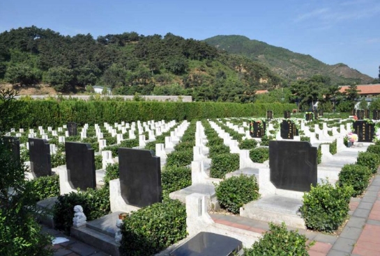 思亲园陵园墓地价格怎么样